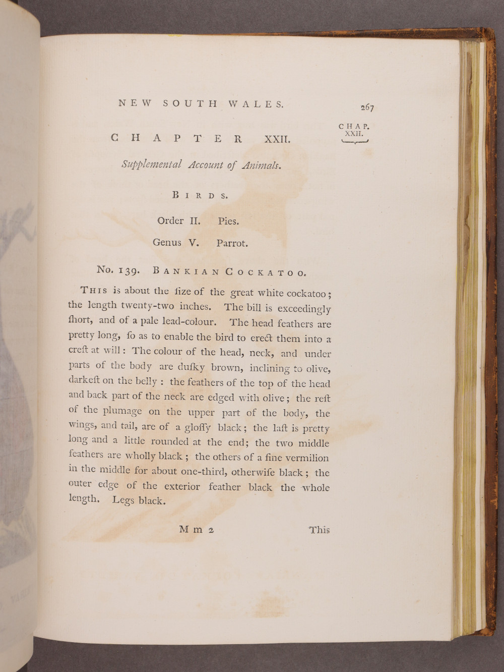 Page 267